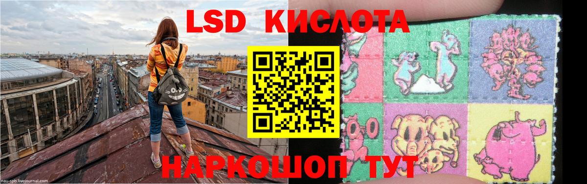 Магадан  Лсд 25 экстази ecstasy  Вход с VPN  ЛСД экстази ecstasy 