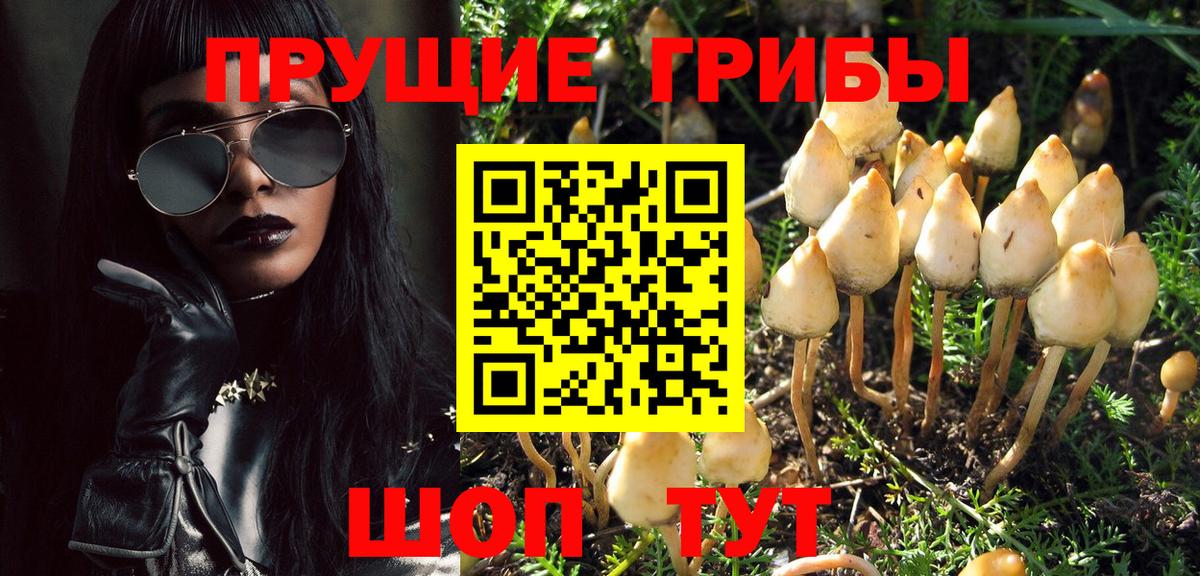 Галлюциногенные грибы GOLDEN TEACHER Магадан