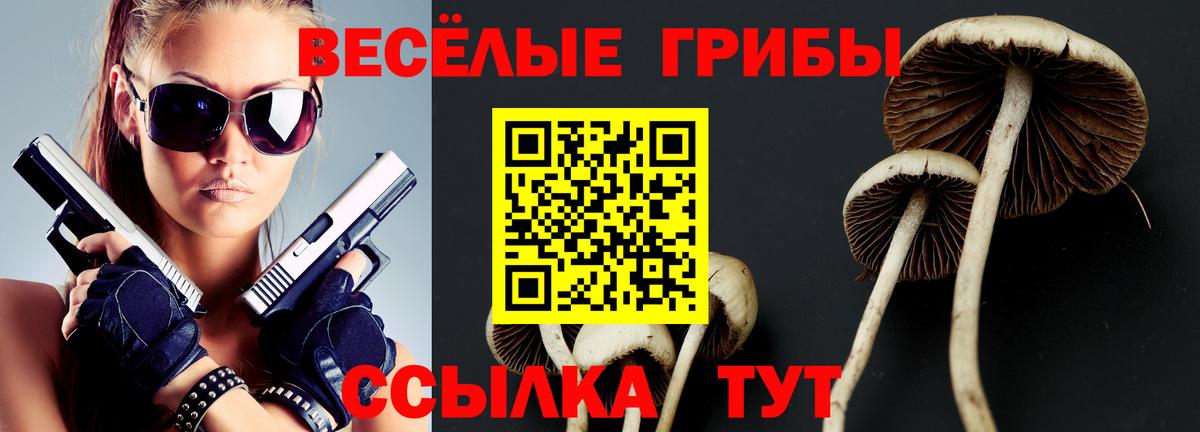 купить наркотики сайты  Галлюциногенные грибы прущие грибы  Вход с VPN  Магадан 